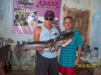 /album/galeria-de-fotos/rosy-337-jpg/